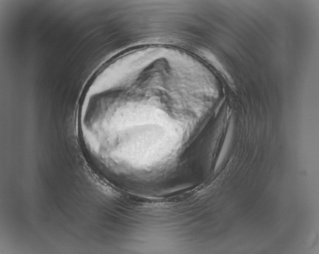 X0000073981276200609111758