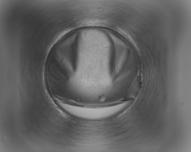 X0000073981277200609111758