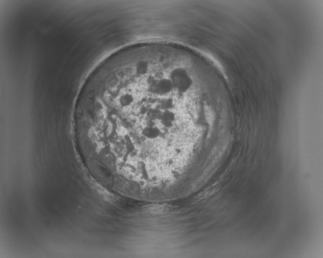 X0000073981279200609111758