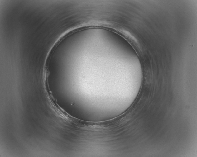 X0000073981280200609111758