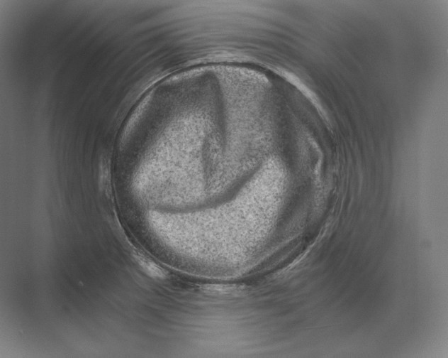 X0000073981281200609111758