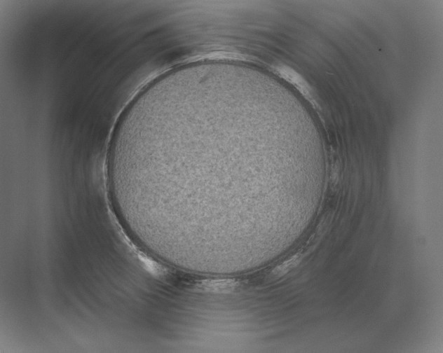 X0000073981282200609111758