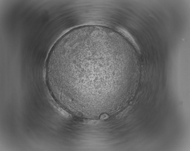 X0000073981284200609111758