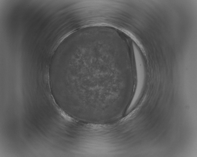 X0000073981289200609111758