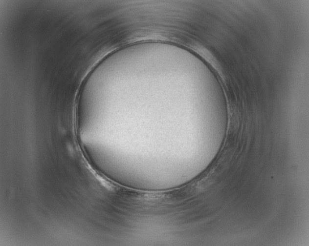 X0000073981290200609111758