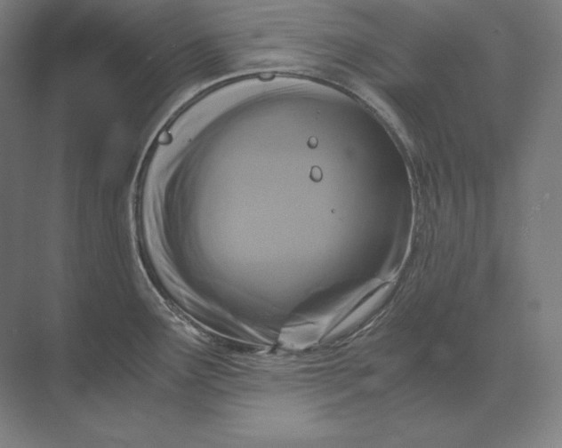 X0000073981291200609111758