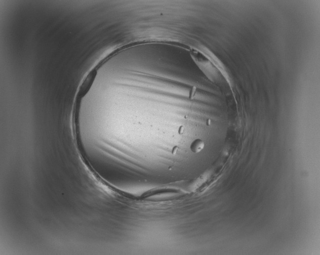 X0000073981293200609111758