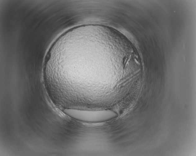 X0000073981296200609111758