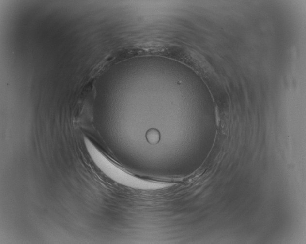 X0000073981298200609111757