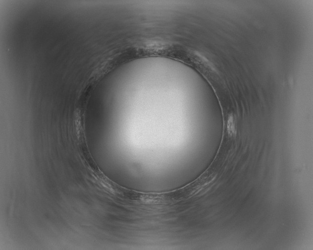 X0000073981299200609111757