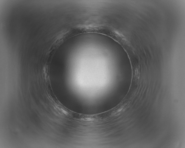 X0000073981300200609111757