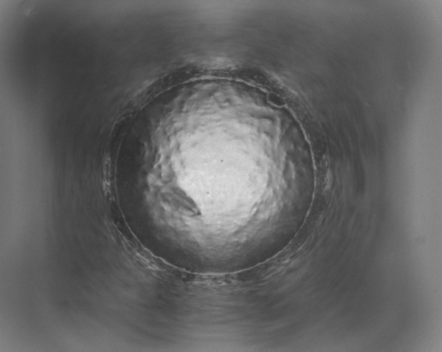 X0000073981301200609111757