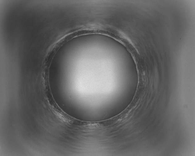 X0000073981304200609111757