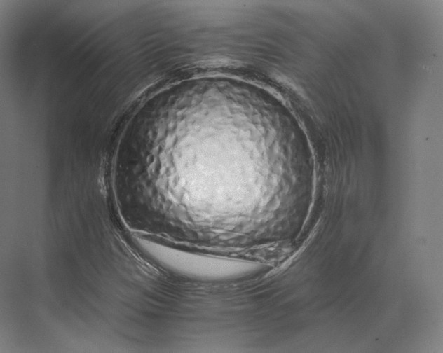 X0000073981305200609111757