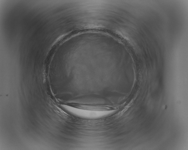 X0000073981306200609111757