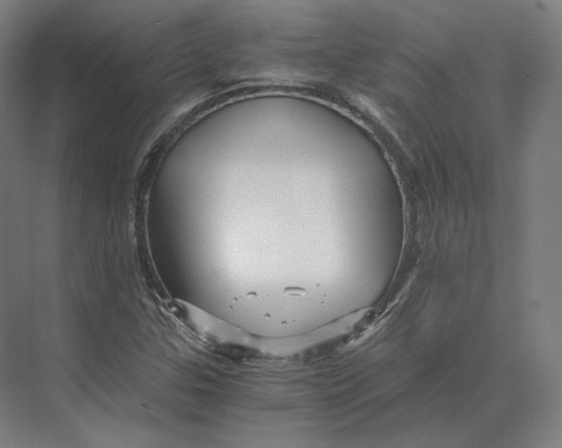 X0000073981307200609111757