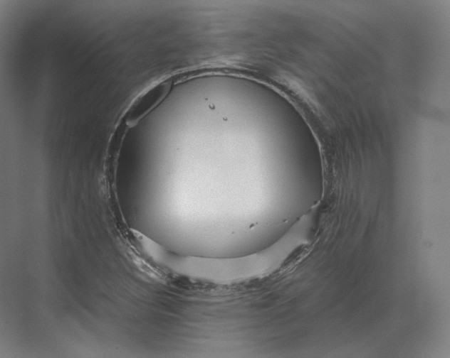 X0000073981308200609111757