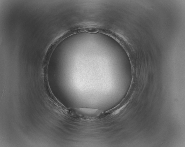 X0000073981309200609111757