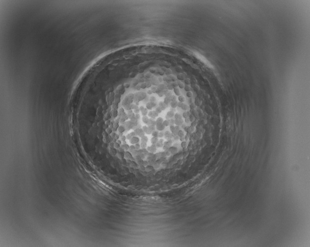 X0000073981310200609111757