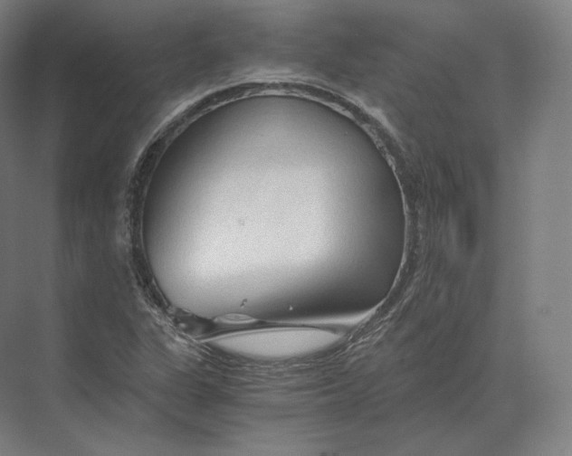 X0000073981311200609111757