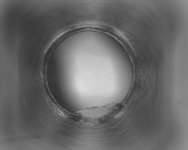 X0000073981312200609111757