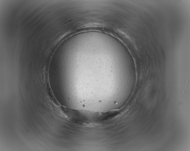 X0000073981313200609111757