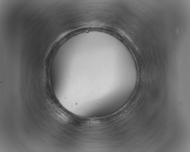 X0000073981315200609111757