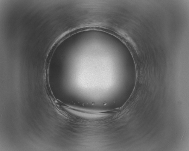 X0000073981316200609111757