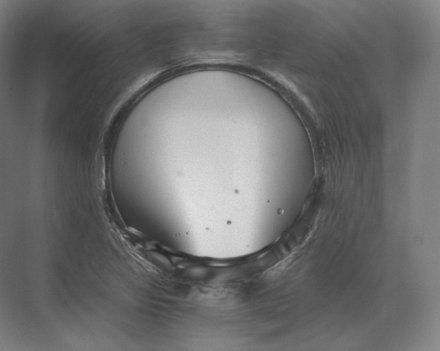 X0000073981317200609111757