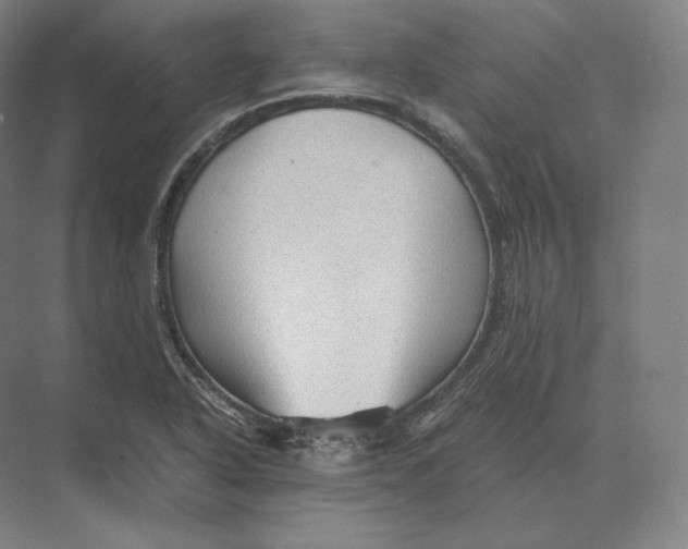 X0000073981318200609111757