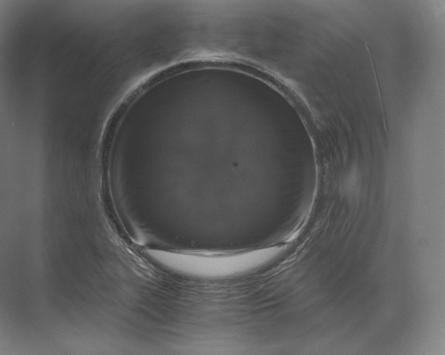 X0000073981319200609111757