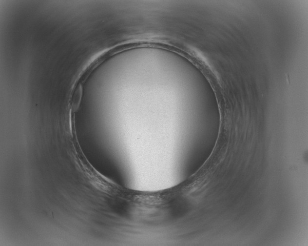 X0000073981320200609111757