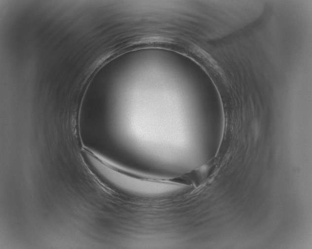 X0000073981321200609111757