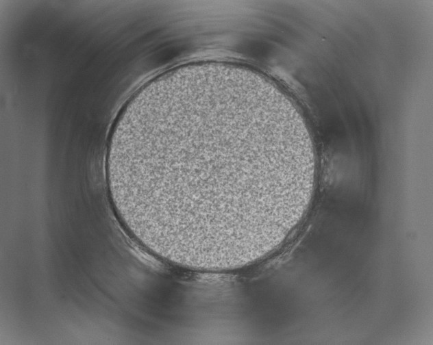 X0000073981322200609111758