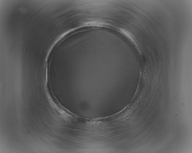 X0000073981323200609111758