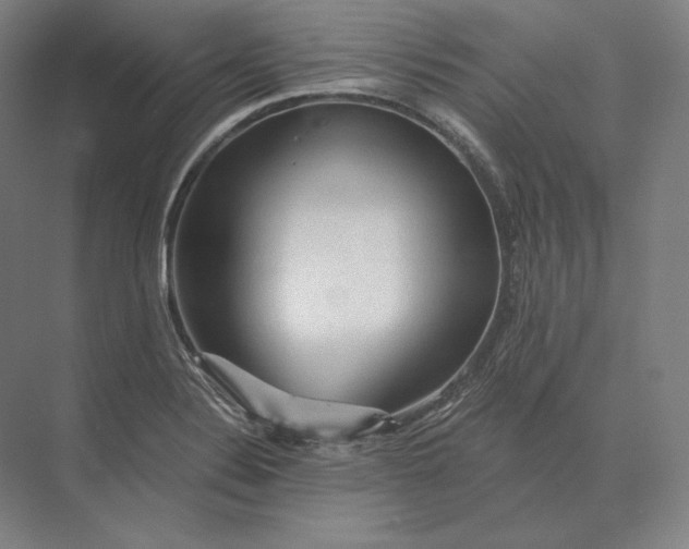 X0000073981324200609111758