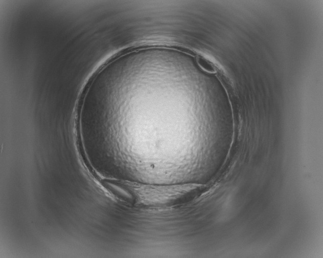 X0000073981325200609111758