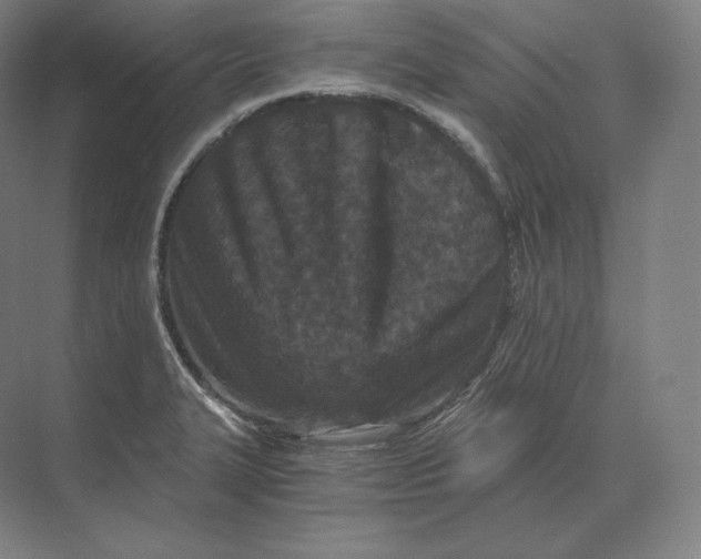 X0000073981327200609111758