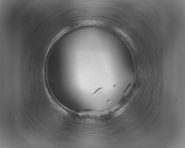 X0000073981330200609111758