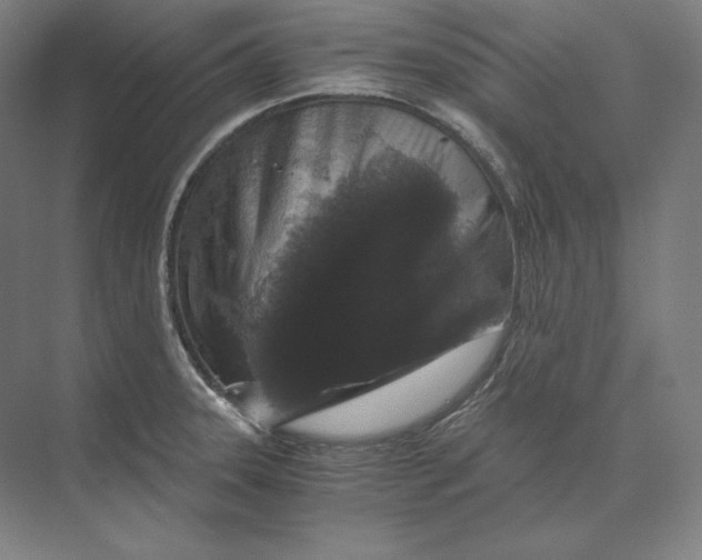 X0000073981331200609111758