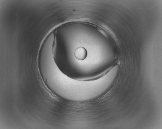 X0000073981332200609111758