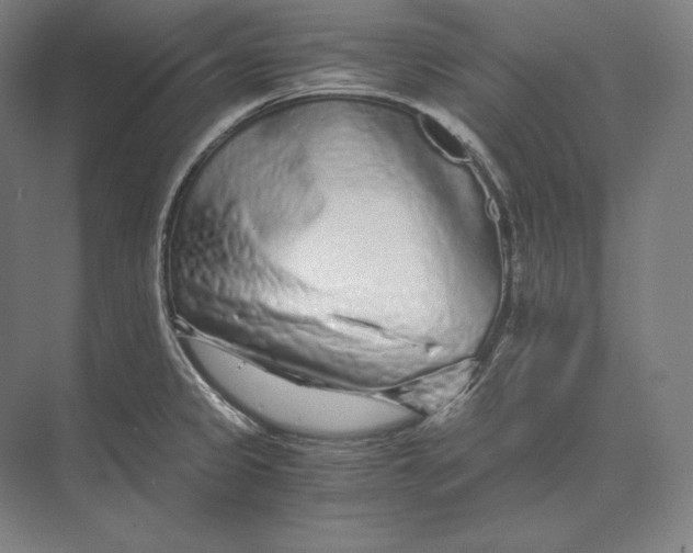 X0000073981333200609111758