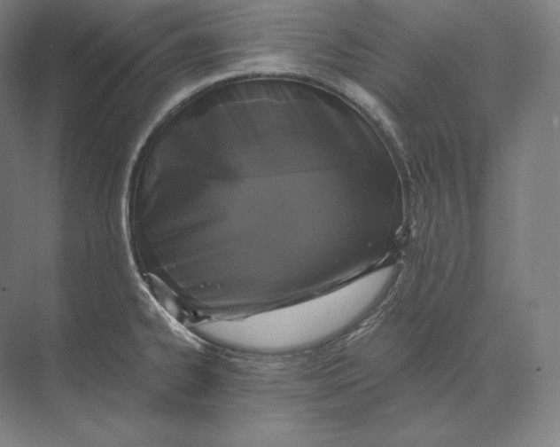 X0000073981334200609111758