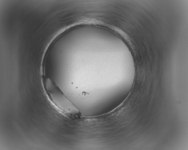 X0000073981335200609111758