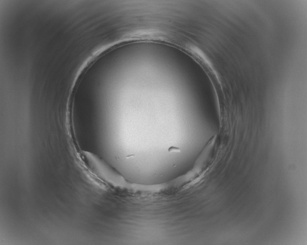 X0000073981336200609111758