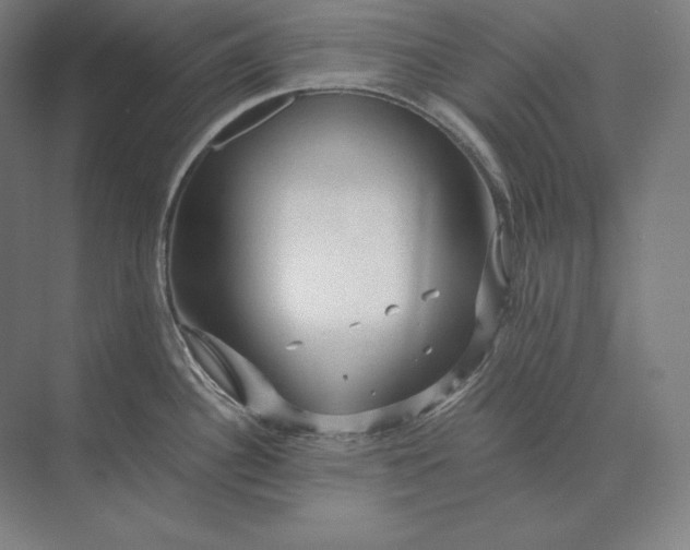 X0000073981340200609111758