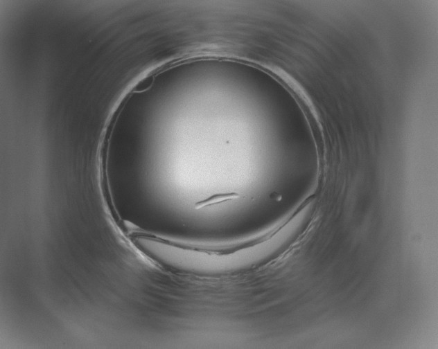 X0000073981341200609111758