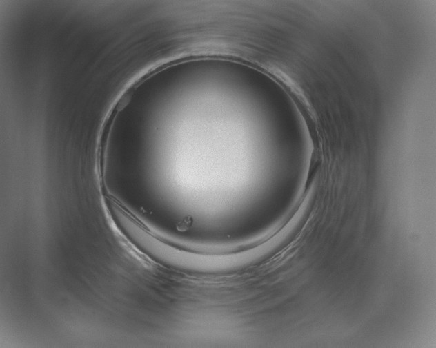 X0000073981342200609111758