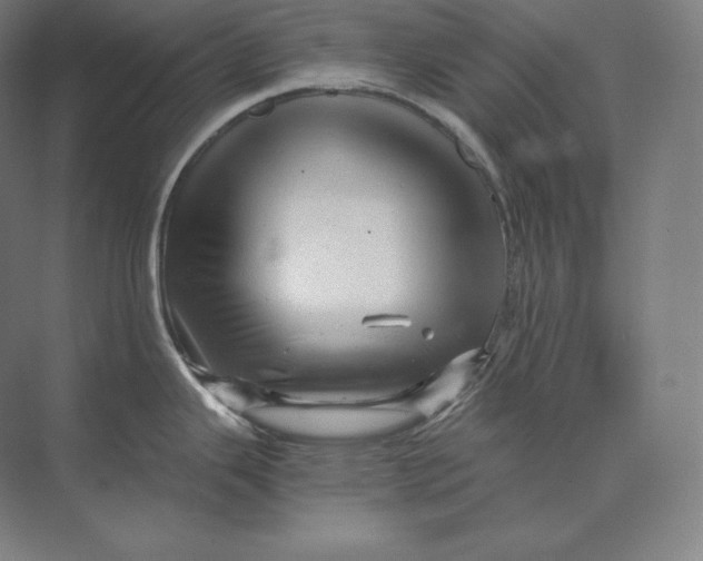 X0000073981343200609111758