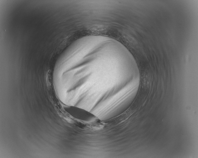 X0000073981346200609111757